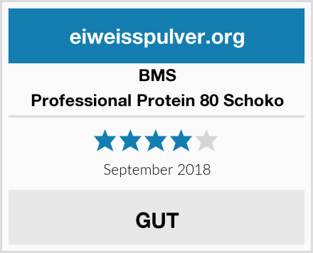 BMS Professional Protein 80 Schoko Test