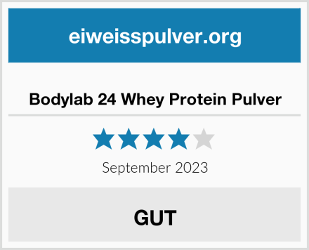  Bodylab 24 Whey Protein Pulver Test