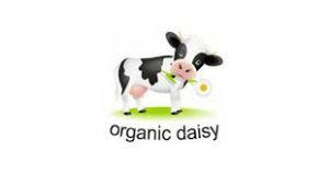 Organic Daisy Eiweisspulver