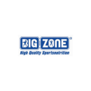 BIG ZONE Logo
